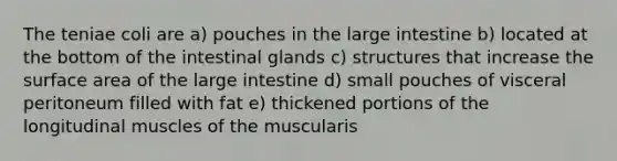 The teniae coli are a) pouches in the large intestine b) located at the bottom of the intestinal glands c) structures that increase the surface area of the large intestine d) small pouches of visceral peritoneum filled with fat e) thickened portions of the longitudinal muscles of the muscularis