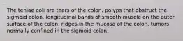 The teniae coli are tears of the colon. polyps that obstruct the sigmoid colon. longitudinal bands of smooth muscle on the outer surface of the colon. ridges in the mucosa of the colon. tumors normally confined in the sigmoid colon.