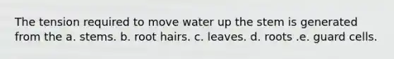 The tension required to move water up the stem is generated from the a. stems. b. root hairs. c. leaves. d. roots .e. guard cells.