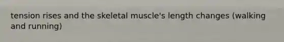 tension rises and the skeletal muscle's length changes (walking and running)