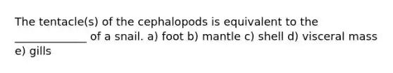 The tentacle(s) of the cephalopods is equivalent to the _____________ of a snail. a) foot b) mantle c) shell d) visceral mass e) gills