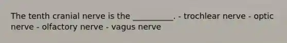 The tenth cranial nerve is the __________. - trochlear nerve - optic nerve - olfactory nerve - vagus nerve