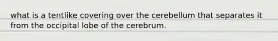 what is a tentlike covering over the cerebellum that separates it from the occipital lobe of the cerebrum.