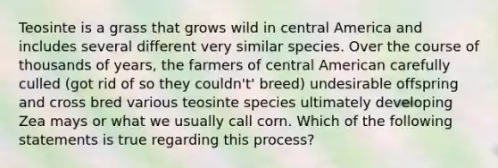 Teosinte is a grass that grows wild in central America and includes several different very similar species. Over the course of thousands of years, the farmers of central American carefully culled (got rid of so they couldn't' breed) undesirable offspring and cross bred various teosinte species ultimately developing Zea mays or what we usually call corn. Which of the following statements is true regarding this process?