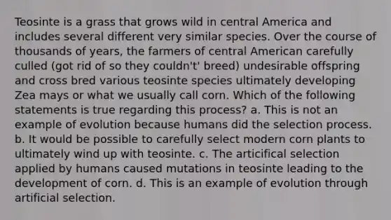 Teosinte is a grass that grows wild in central America and includes several different very similar species. Over the course of thousands of years, the farmers of central American carefully culled (got rid of so they couldn't' breed) undesirable offspring and cross bred various teosinte species ultimately developing Zea mays or what we usually call corn. Which of the following statements is true regarding this process? a. This is not an example of evolution because humans did the selection process. b. It would be possible to carefully select modern corn plants to ultimately wind up with teosinte. c. The articifical selection applied by humans caused mutations in teosinte leading to the development of corn. d. This is an example of evolution through artificial selection.