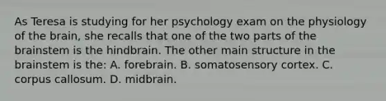 As Teresa is studying for her psychology exam on the physiology of <a href='https://www.questionai.com/knowledge/kLMtJeqKp6-the-brain' class='anchor-knowledge'>the brain</a>, she recalls that one of the two parts of the brainstem is the hindbrain. The other main structure in the brainstem is the: A. forebrain. B. somatosensory cortex. C. corpus callosum. D. midbrain.