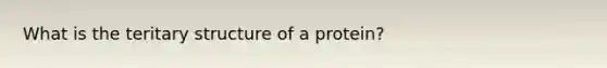 What is the teritary structure of a protein?