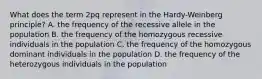 What does the term 2pq represent in the Hardy-Weinberg principle? A. the frequency of the recessive allele in the population B. the frequency of the homozygous recessive individuals in the population C. the frequency of the homozygous dominant individuals in the population D. the frequency of the heterozygous individuals in the population