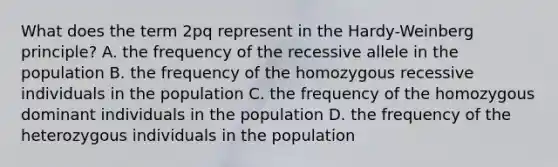 What does the term 2pq represent in the Hardy-Weinberg principle? A. the frequency of the recessive allele in the population B. the frequency of the homozygous recessive individuals in the population C. the frequency of the homozygous dominant individuals in the population D. the frequency of the heterozygous individuals in the population