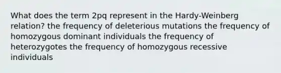 What does the term 2pq represent in the Hardy-Weinberg relation? the frequency of deleterious mutations the frequency of homozygous dominant individuals the frequency of heterozygotes the frequency of homozygous recessive individuals