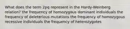 What does the term 2pq represent in the Hardy-Weinberg relation? the frequency of homozygous dominant individuals the frequency of deleterious mutations the frequency of homozygous recessive individuals the frequency of heterozygotes