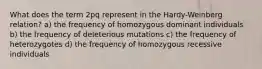 What does the term 2pq represent in the Hardy-Weinberg relation? a) the frequency of homozygous dominant individuals b) the frequency of deleterious mutations c) the frequency of heterozygotes d) the frequency of homozygous recessive individuals