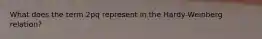 What does the term 2pq represent in the Hardy-Weinberg relation?
