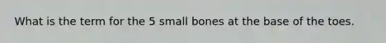 What is the term for the 5 small bones at the base of the toes.