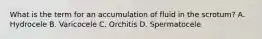 What is the term for an accumulation of fluid in the​ scrotum? A. Hydrocele B. Varicocele C. Orchitis D. Spermatocele