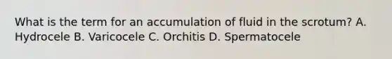 What is the term for an accumulation of fluid in the​ scrotum? A. Hydrocele B. Varicocele C. Orchitis D. Spermatocele