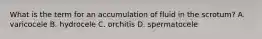 What is the term for an accumulation of fluid in the​ scrotum? A. varicocele B. hydrocele C. orchitis D. spermatocele