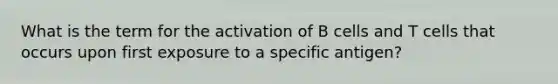 What is the term for the activation of B cells and T cells that occurs upon first exposure to a specific antigen?