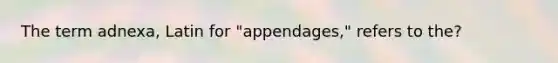 The term adnexa, Latin for "appendages," refers to the?