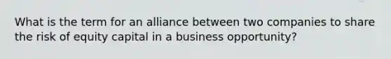 What is the term for an alliance between two companies to share the risk of equity capital in a business opportunity?