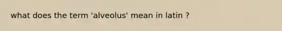 what does the term 'alveolus' mean in latin ?