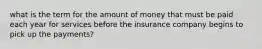 what is the term for the amount of money that must be paid each year for services before the insurance company begins to pick up the payments?