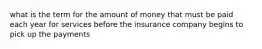 what is the term for the amount of money that must be paid each year for services before the insurance company begins to pick up the payments