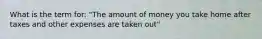 What is the term for: "The amount of money you take home after taxes and other expenses are taken out"