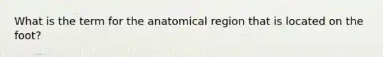 What is the term for the anatomical region that is located on the foot?