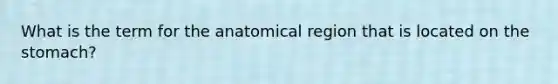 What is the term for the anatomical region that is located on the stomach?