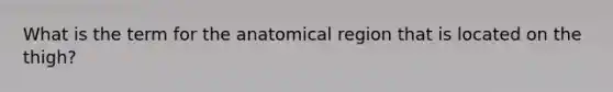 What is the term for the anatomical region that is located on the thigh?