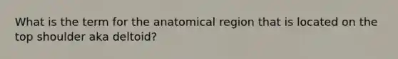 What is the term for the anatomical region that is located on the top shoulder aka deltoid?