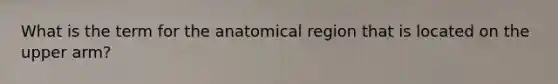 What is the term for the anatomical region that is located on the upper arm?