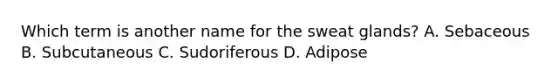 Which term is another name for the sweat glands? A. Sebaceous B. Subcutaneous C. Sudoriferous D. Adipose