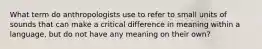 What term do anthropologists use to refer to small units of sounds that can make a critical difference in meaning within a language, but do not have any meaning on their own?