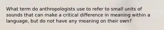 What term do anthropologists use to refer to small units of sounds that can make a critical difference in meaning within a language, but do not have any meaning on their own?