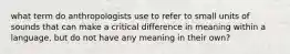 what term do anthropologists use to refer to small units of sounds that can make a critical difference in meaning within a language, but do not have any meaning in their own?