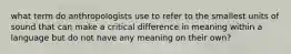 what term do anthropologists use to refer to the smallest units of sound that can make a critical difference in meaning within a language but do not have any meaning on their own?