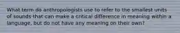 What term do anthropologists use to refer to the smallest units of sounds that can make a critical difference in meaning within a language, but do not have any meaning on their own?