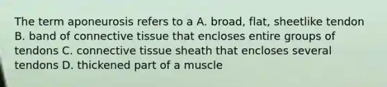 The term aponeurosis refers to a A. broad, flat, sheetlike tendon B. band of connective tissue that encloses entire groups of tendons C. connective tissue sheath that encloses several tendons D. thickened part of a muscle