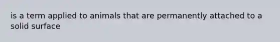 is a term applied to animals that are permanently attached to a solid surface