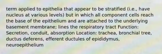 term applied to epithelia that appear to be stratified (i.e., have nucleus at various levels) but in which all component cells reach the base of the epithelium and are attached to the underlying basement membrane; lines the respiratory tract Function: Secretion, conduit, absorption Location: trachea, bronchial tree, ductus deferens, efferent ductules of epididymus, neuroepithelium