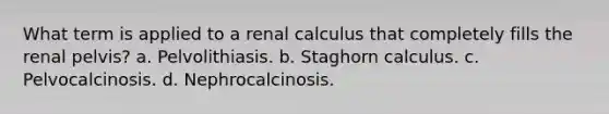 What term is applied to a renal calculus that completely fills the renal pelvis? a. Pelvolithiasis. b. Staghorn calculus. c. Pelvocalcinosis. d. Nephrocalcinosis.