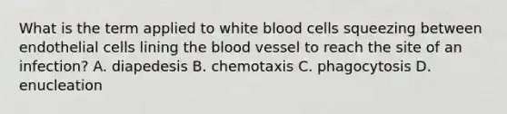 What is the term applied to white blood cells squeezing between endothelial cells lining <a href='https://www.questionai.com/knowledge/k7oXMfj7lk-the-blood' class='anchor-knowledge'>the blood</a> vessel to reach the site of an infection? A. diapedesis B. chemotaxis C. phagocytosis D. enucleation