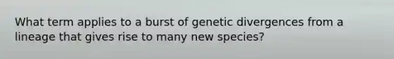 What term applies to a burst of genetic divergences from a lineage that gives rise to many new species?