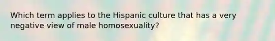 Which term applies to the Hispanic culture that has a very negative view of male homosexuality?