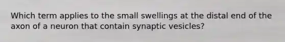 Which term applies to the small swellings at the distal end of the axon of a neuron that contain synaptic vesicles?