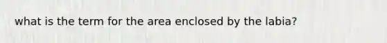 what is the term for the area enclosed by the labia?