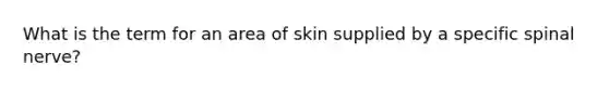 What is the term for an area of skin supplied by a specific spinal nerve?