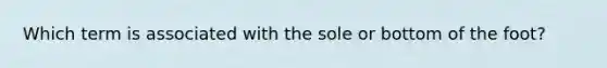 Which term is associated with the sole or bottom of the foot?